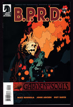 Load image into Gallery viewer, B.P.R.D. Garden of Souls