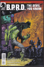 Load image into Gallery viewer, B.P.R.D. The Devil You Know