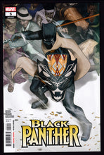 Load image into Gallery viewer, BLACK PANTHER (2023) Vol 9