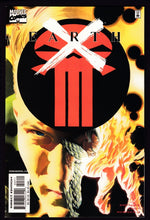 Load image into Gallery viewer, Earth X