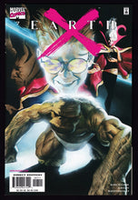 Load image into Gallery viewer, Earth X