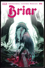 Load image into Gallery viewer, Briar