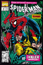 Load image into Gallery viewer, Spider-Man (1990) Vol 1