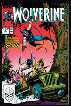 Load image into Gallery viewer, Wolverine (1988) Vol 2