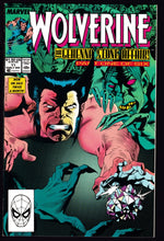 Load image into Gallery viewer, Wolverine (1988) Vol 2
