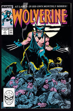 Load image into Gallery viewer, Wolverine (1988) Vol 2