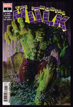 Load image into Gallery viewer, Immortal Hulk