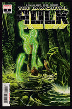 Load image into Gallery viewer, Immortal Hulk