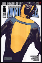 Load image into Gallery viewer, Invincible
