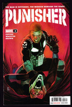 Load image into Gallery viewer, Punisher (2022) Vol 13