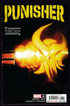 Load image into Gallery viewer, Punisher (2022) Vol 13