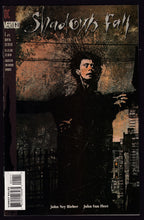 Load image into Gallery viewer, Shadows Fall