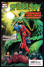 Load image into Gallery viewer, Spider-Boy