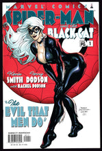 Load image into Gallery viewer, Spider-Man And The Black Cat The Evil That Men Do