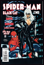 Load image into Gallery viewer, Spider-Man And The Black Cat The Evil That Men Do