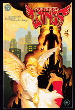 Load image into Gallery viewer, Supergirl Wings