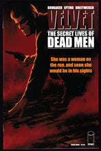 Load image into Gallery viewer, Velvet