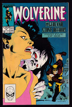 Load image into Gallery viewer, Wolverine (1988) Vol 2