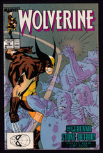 Load image into Gallery viewer, Wolverine (1988) Vol 2