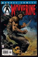 Load image into Gallery viewer, Wolverine (1988) Vol 2
