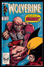 Load image into Gallery viewer, Wolverine (1988) Vol 2