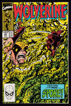 Load image into Gallery viewer, Wolverine (1988) Vol 2