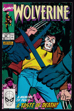 Load image into Gallery viewer, Wolverine (1988) Vol 2