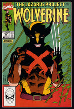 Load image into Gallery viewer, Wolverine (1988) Vol 2