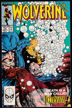 Load image into Gallery viewer, Wolverine (1988) Vol 2
