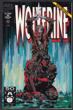 Load image into Gallery viewer, Wolverine (1988) Vol 2