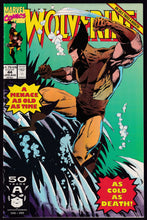 Load image into Gallery viewer, Wolverine (1988) Vol 2