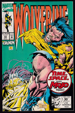 Load image into Gallery viewer, Wolverine (1988) Vol 2