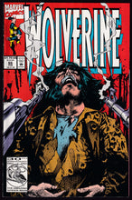 Load image into Gallery viewer, Wolverine (1988) Vol 2