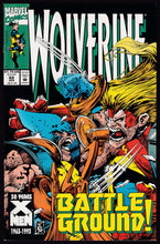 Load image into Gallery viewer, Wolverine (1988) Vol 2