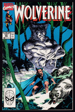 Load image into Gallery viewer, Wolverine (1988) Vol 2