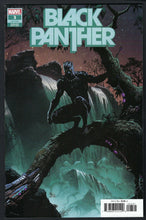 Load image into Gallery viewer, BLACK PANTHER (2021) Vol 8
