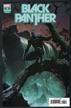 Load image into Gallery viewer, BLACK PANTHER (2021) Vol 8