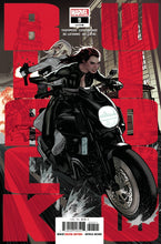 Load image into Gallery viewer, BLACK WIDOW (2020)