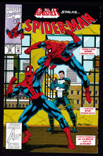 Load image into Gallery viewer, Spider-Man (1990) Vol 1