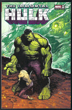 Load image into Gallery viewer, Immortal Hulk