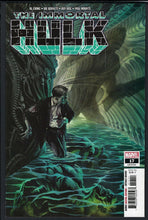 Load image into Gallery viewer, Immortal Hulk