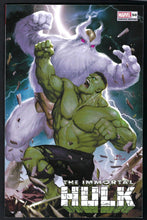 Load image into Gallery viewer, Immortal Hulk