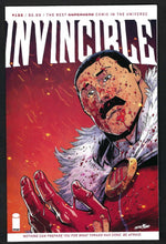 Load image into Gallery viewer, Invincible