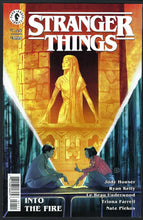 Load image into Gallery viewer, STRANGER THINGS INTO THE FIRE (2020)