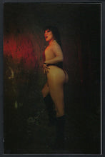 Load image into Gallery viewer, VAMPIRELLA DARK POWERS