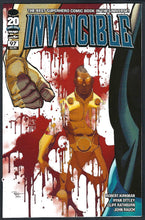 Load image into Gallery viewer, Invincible
