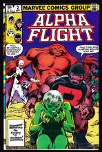 Load image into Gallery viewer, Alpha Flight (1983) Vol 1
