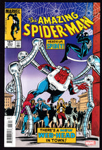 Load image into Gallery viewer, Amazing Spider-Man (1963) Vol 1
