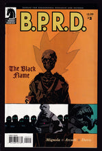 Load image into Gallery viewer, B.P.R.D. The  Black Flame
