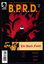 Load image into Gallery viewer, B.P.R.D. The  Black Flame
